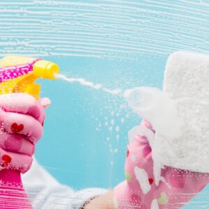 Domestic Cleaning Domestic Cleaning